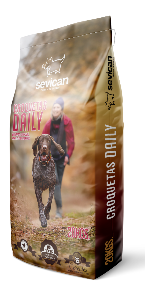 Daily Sevican